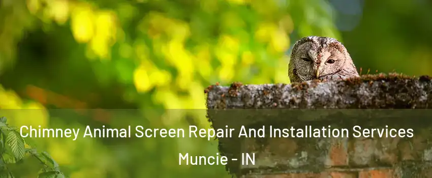  Chimney Animal Screen Repair And Installation Services Muncie - IN