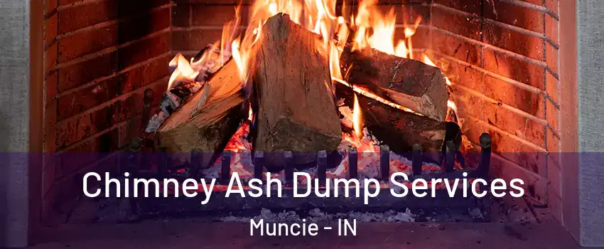  Chimney Ash Dump Services Muncie - IN