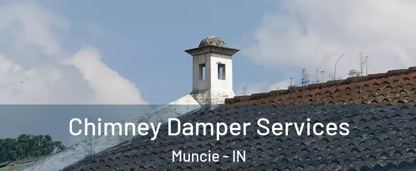  Chimney Damper Services Muncie - IN