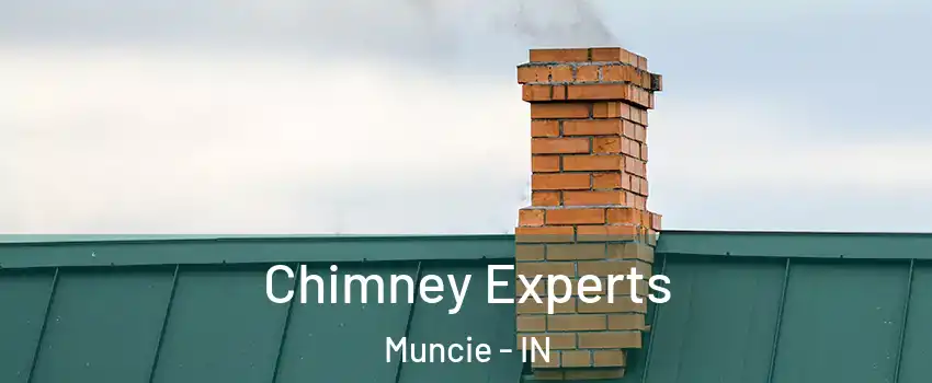  Chimney Experts Muncie - IN