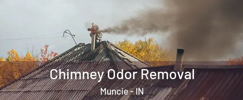  Chimney Odor Removal Muncie - IN