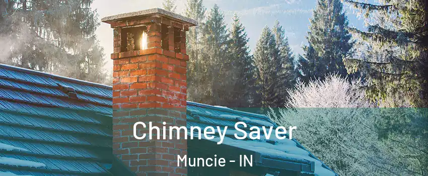  Chimney Saver Muncie - IN