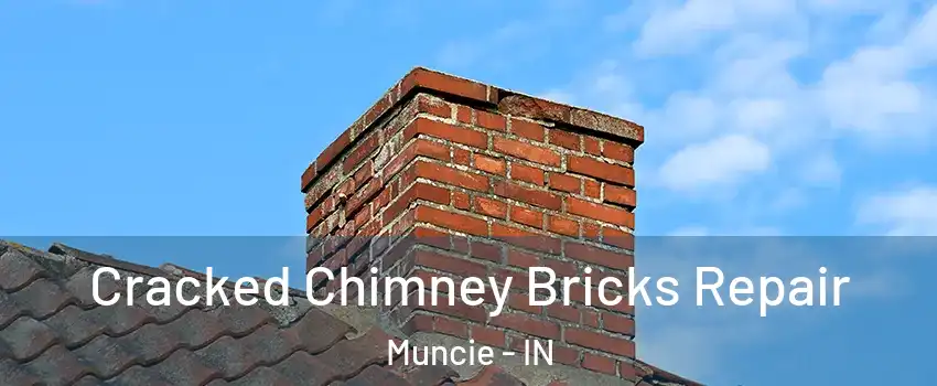  Cracked Chimney Bricks Repair Muncie - IN