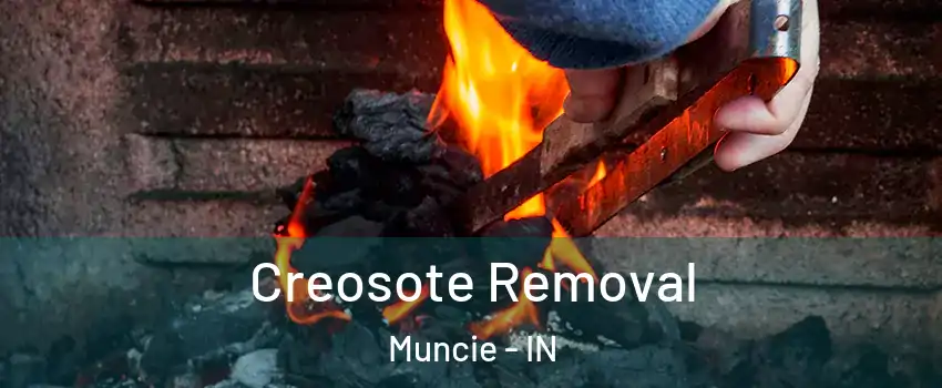  Creosote Removal Muncie - IN