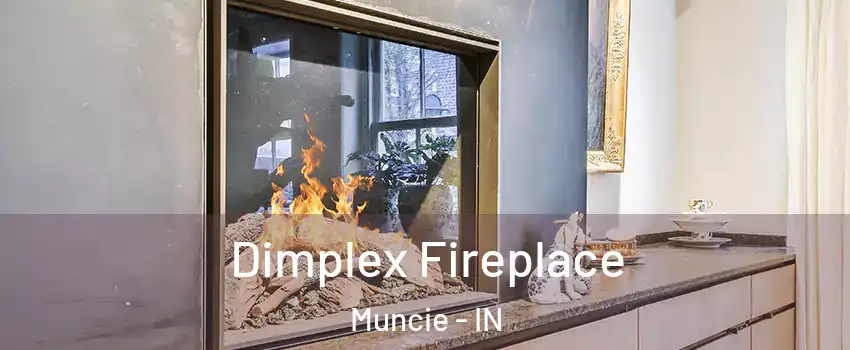  Dimplex Fireplace Muncie - IN