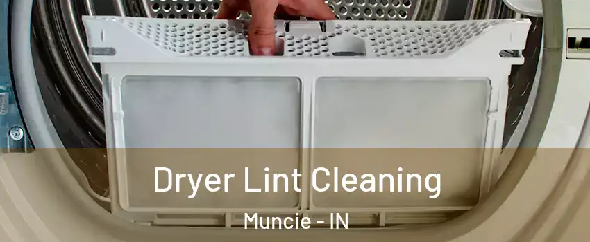  Dryer Lint Cleaning Muncie - IN