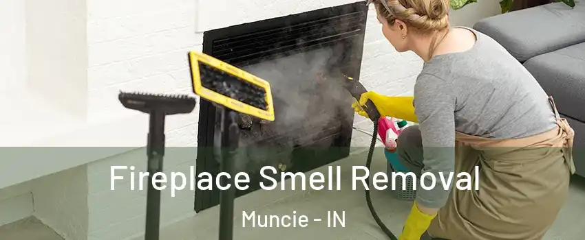  Fireplace Smell Removal Muncie - IN