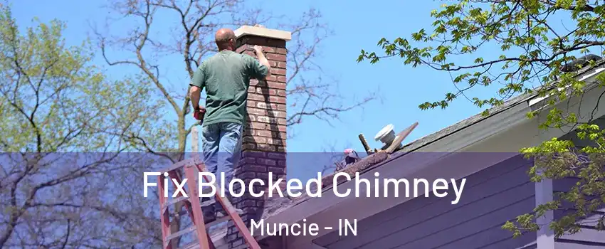  Fix Blocked Chimney Muncie - IN