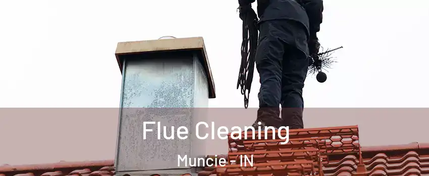  Flue Cleaning Muncie - IN