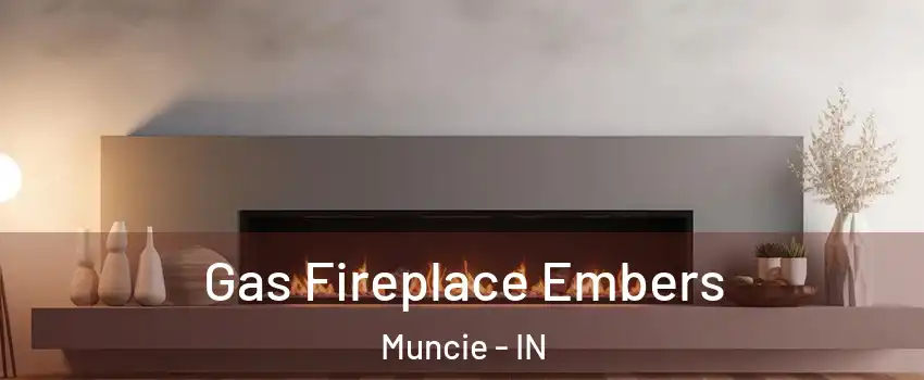  Gas Fireplace Embers Muncie - IN