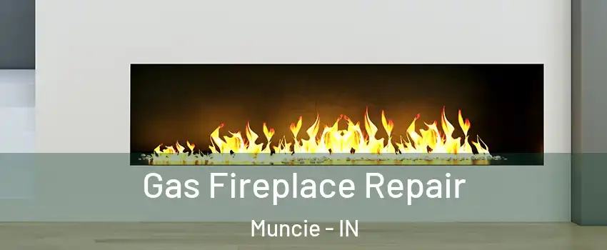  Gas Fireplace Repair Muncie - IN