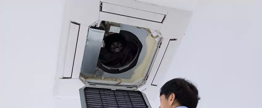 Benefits of Professional Air Duct Cleaning in Muncie, Indiana