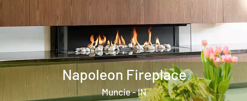  Napoleon Fireplace Muncie - IN