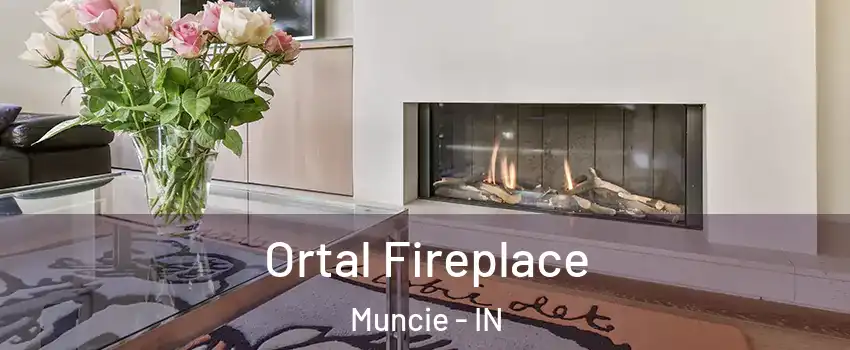  Ortal Fireplace Muncie - IN