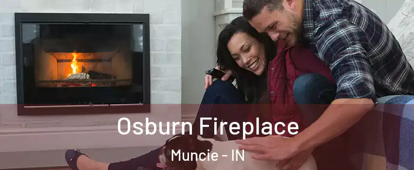  Osburn Fireplace Muncie - IN
