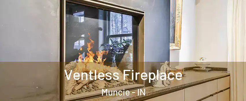  Ventless Fireplace Muncie - IN